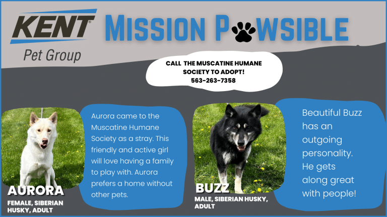 Mission Pawsible July 5