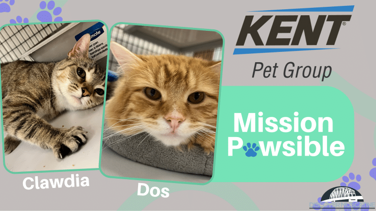 Mission Pawsible June 14
