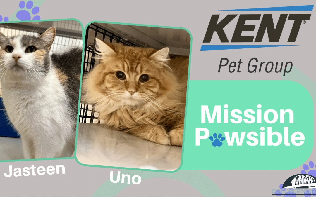 mission pawsible jasteen and uno