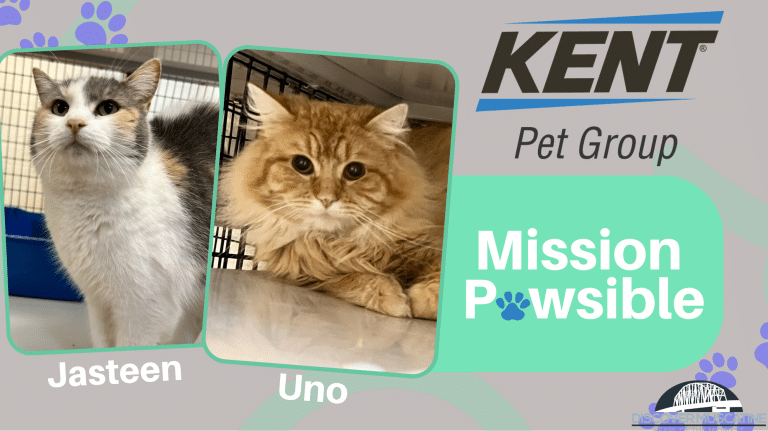 Mission Pawsible June 28