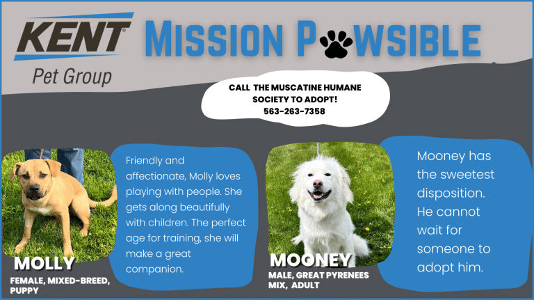 Mission Pawsible July 12