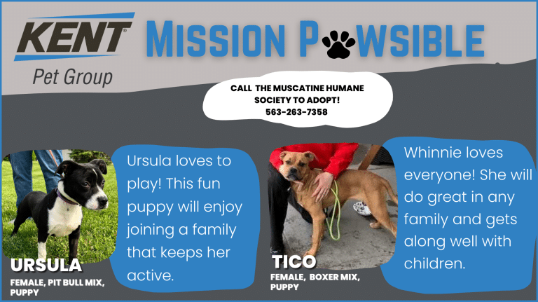 Mission Pawsible July 26