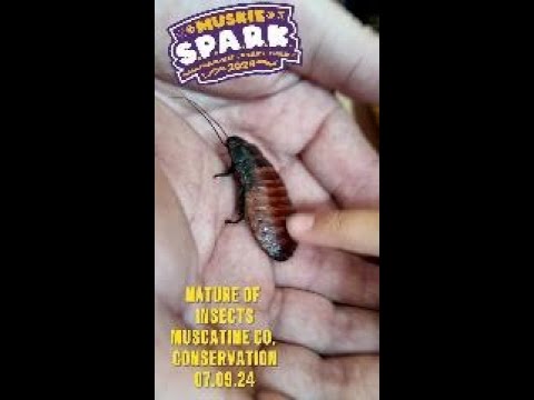 #MuskieSPARK Nature of Insects 07.09.24 | Muscatine Community School District