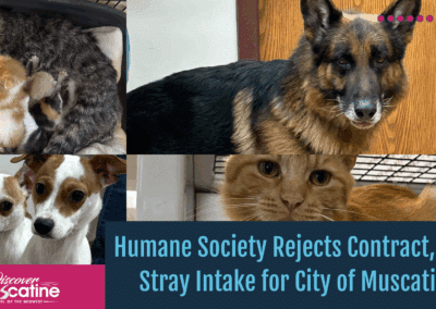 Humane Society Rejects Contract, Ends Stray Intake for City