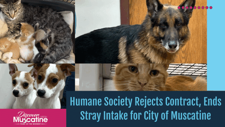 Humane Society Rejects Contract, Ends Stray Intake for City